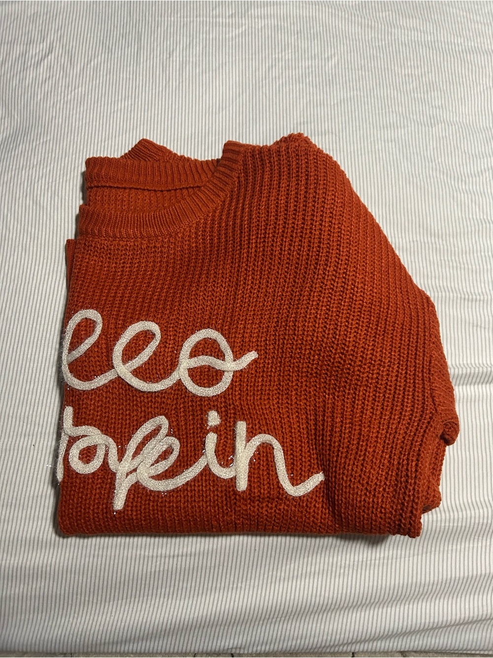 Rust Orange Knit Sweater with Script Logo - Picture 5 of 5